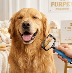 For Dogs